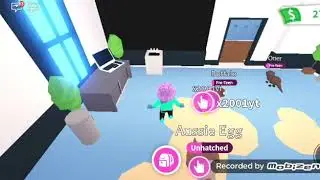 Яйцо в адопт ми моё первое видео ждите следующей части ❤🤩
