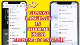 How to change language in Chrome browser from Chinese to English
