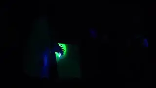 Шоу в темноте