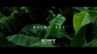 SONY FX30 | Rainy Day | Sigma 30mm | 4K Cinematic