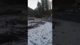 паводок в России 2020