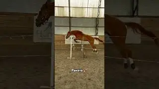 Тренируемся😻 #лошади #horses