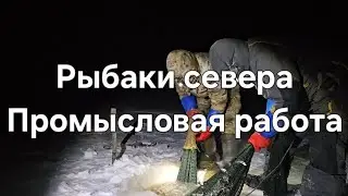Промысловое рыболовство на севере.Поднимаем невода.