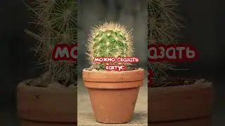 Слабая сторона незерита! 🤔😮#shorts #minecraft