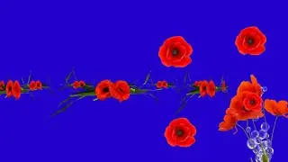 green screen flower video,green screen video,green screen flower garden,green screenbackgroundflower