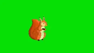 squirrel eating and running... কাঠবিড়ালি  খাচ্ছে দৌড়াচ্ছে green screen video no copy right (free)