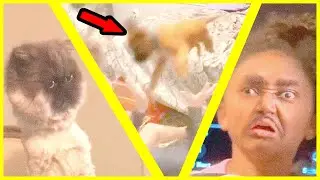 clean funny memes that make me ask why