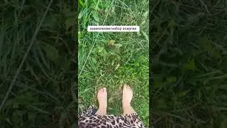 Практика заземления+2  видео экспериментов. #энергопрактика #заземлениепрактика