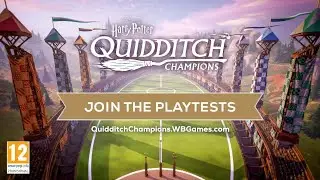Harry Potter Quidditch Champions