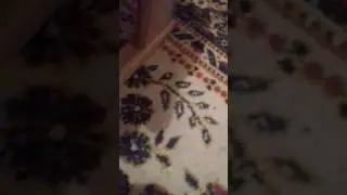 Диануля