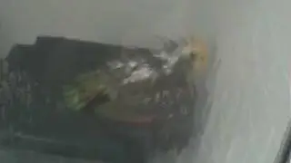 Hidden shower cam voyeur