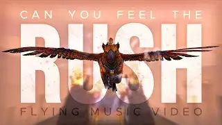 𝐑𝐔𝐒𝐇 // Griffon Flying Music Video