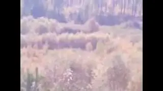 что стало с озером 