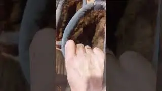 #валенки