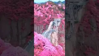 Другая реальность. Творение. Рай на земле. Божественный план. Осознанность.