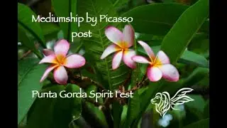 Mediumship by Picasso post Punta Gorda Spirit Fest