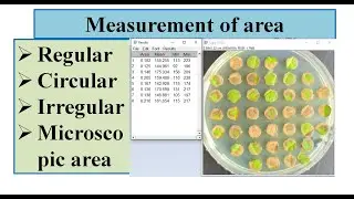 How to calculate the area of circle, irregular square images