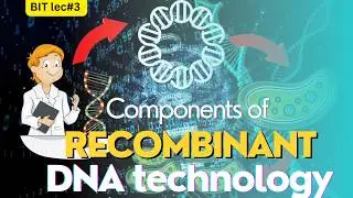 BIT: 3 components of recombinant DNA technology| rDNA technology |RDT