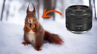 Canon RF 35mm f/1.8 - MUST-HAVE lens for nature photographers?