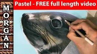 Wildlife Art Pastel lesson - FREE 1 1/2 hr VIDEO!
