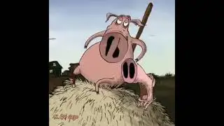 Для чего мы существуем?..