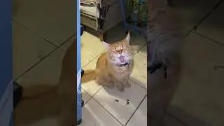 Маленькая ВОЗМУЩАЛОЧКА 😂