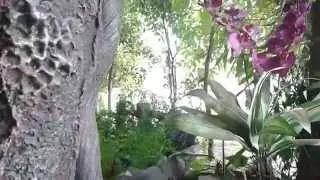 Water Villa - Hotel