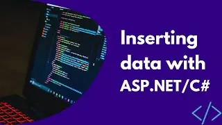 Inserting Data with C# (VS 2010 and MS SQL Server 2005 - raw)