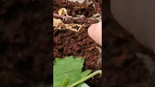 они уже так час сидят