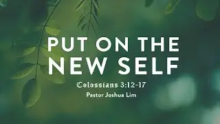 Put on the New Self | Colossians 3:12-17