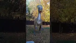 Самара Динозавры. 08.10.2024.