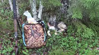 Брожу по тайге фильм 3
