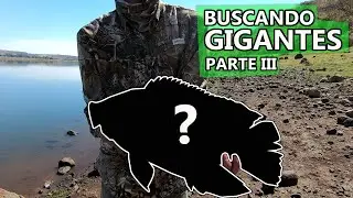PESCA de LOBINA - BUSCANDO GIGANTES - Ep.  3