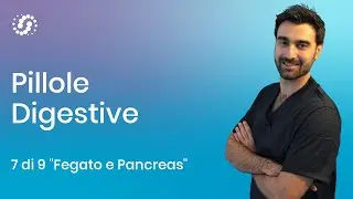 Funzione del fegato e funzione del pancreas nella digestione