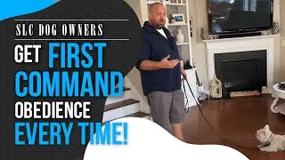 How Utah Dog Owners are Getting First Command Obedience Training With Their Dog