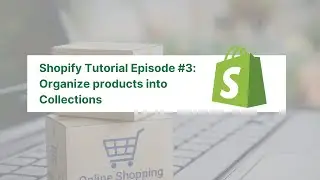 How to Organize products into Collections on Shopify Store - Shopify Tutorial #3