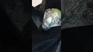 #shorts Roza Mubarak Hazrat Imam Hussain on the Chandi Ring #shortsvideo #roza