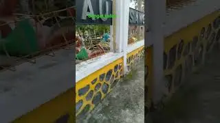 waw,,,,danau sanggu