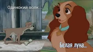 Леди и Бродяга: Клип 