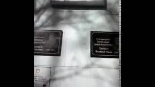 Случай в Биробиджане. ЕАО