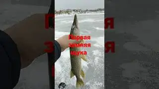 28 ноября 2022 г.