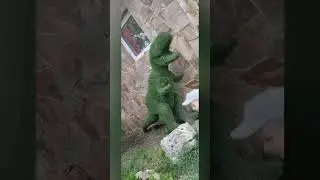 сафари парк