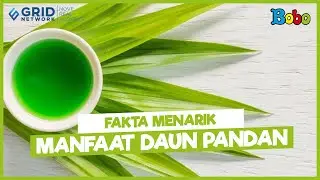 Fakta Menarik - Manfaat Air Rebusan Daun Pandan - Bisa Menyembuhkan Demam