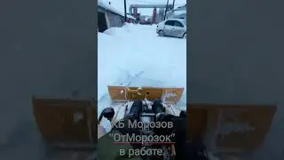 Выпал наконец то снег, можно выгулять Нашего красавчика.