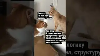 Рабочие моменты, они такие😂