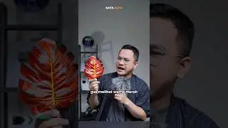 Apakah kita bebar-benar melihat warna yang sama?