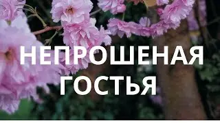 ЭТА ИСТОРИЯ НЕ ОСТАВИТ НИКОГО РАВНОДУШНЫМ! ,,Мама, живи!