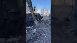 Тигры Кадыровцев уже никуда не поедут! 