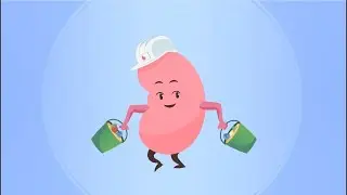 Strong Kidneys | European Kidney Health Awareness Days | Hungarian
