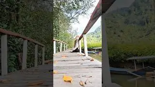 Mencari suasana baru di tepi sungai mangrove #shorts #trending